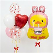 Набор шаров уточка 